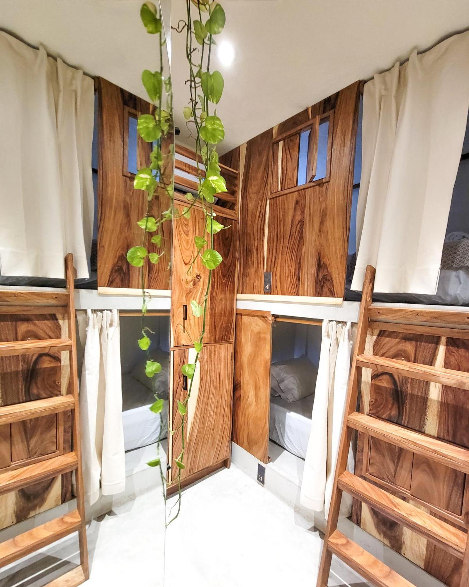 4-Bed Mixed Dormitory Room